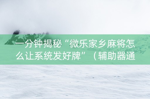 一分钟揭秘“微乐家乡麻将怎么让系统发好牌”（辅助器通用版)