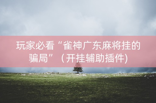 玩家必看“雀神广东麻将挂的骗局”（开挂辅助插件)