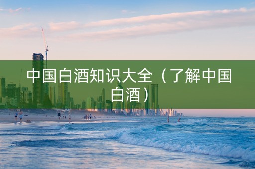 中国白酒知识大全（了解中国白酒）