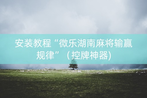 安装教程“微乐湖南麻将输赢规律”（控牌神器)