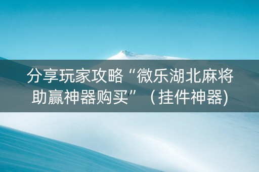 分享玩家攻略“微乐湖北麻将助赢神器购买”（挂件神器)