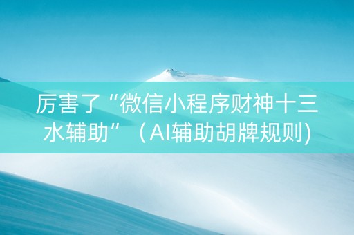 厉害了“微信小程序财神十三水辅助”（AI辅助胡牌规则)