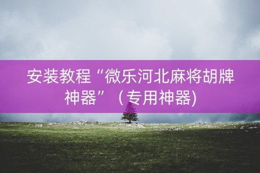 安装教程“微乐河北麻将胡牌神器”（专用神器)