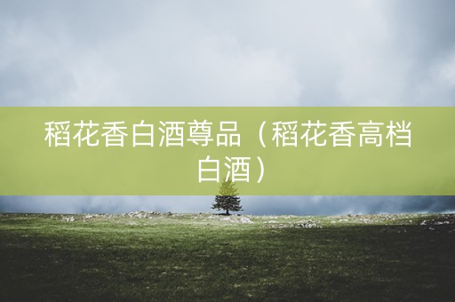 稻花香白酒尊品（稻花香高档白酒）