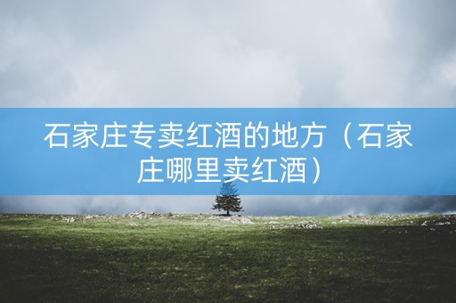 石家庄专卖红酒的地方（石家庄哪里卖红酒）
