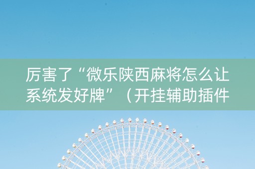 厉害了“微乐陕西麻将怎么让系统发好牌”（开挂辅助插件)