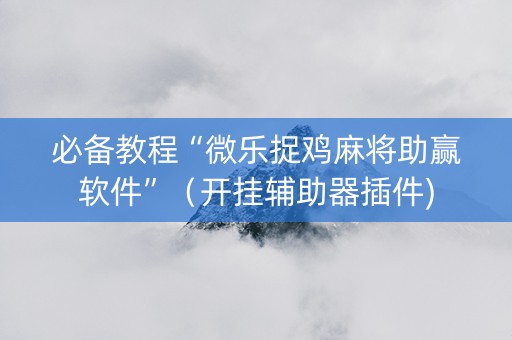 必备教程“微乐捉鸡麻将助赢软件”（开挂辅助器插件)