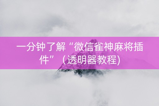 一分钟了解“微信雀神麻将插件”（透明器教程)