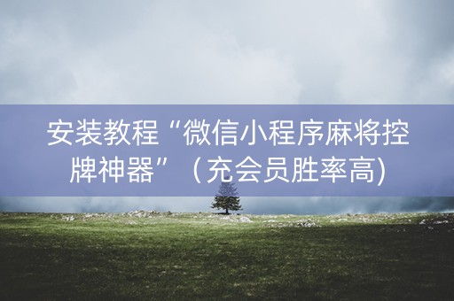 安装教程“微信小程序麻将控牌神器”（充会员胜率高)