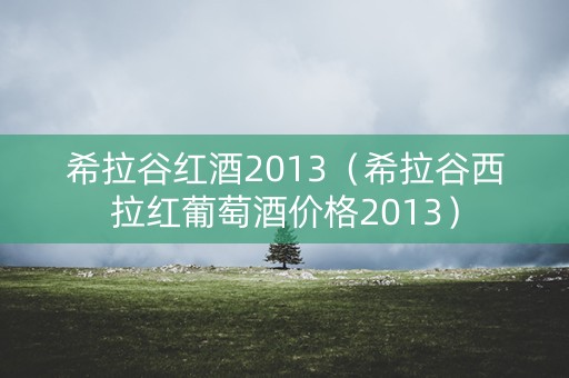 希拉谷红酒2013（希拉谷西拉红葡萄酒价格2013）