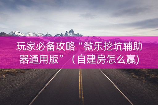 玩家必备攻略“微乐挖坑辅助器通用版”（自建房怎么赢)