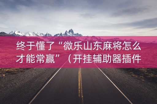 终于懂了“微乐山东麻将怎么才能常赢”（开挂辅助器插件)