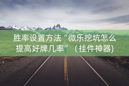 胜率设置方法“微乐挖坑怎么提高好牌几率”（挂件神器)