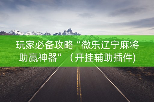 玩家必备攻略“微乐辽宁麻将助赢神器”（开挂辅助插件)