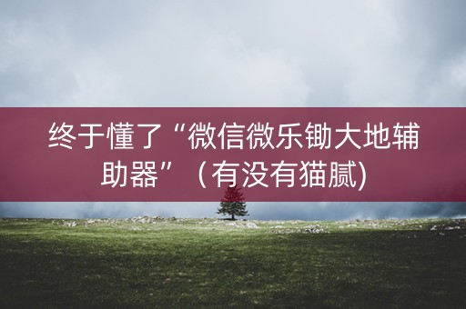 终于懂了“微信微乐锄大地辅助器”（有没有猫腻)