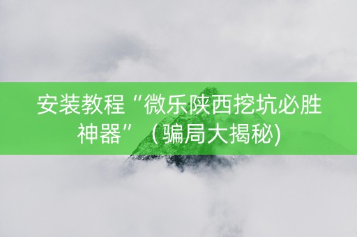 安装教程“微乐陕西挖坑必胜神器”（骗局大揭秘)