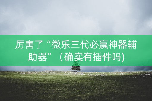 厉害了“微乐三代必赢神器辅助器”（确实有插件吗)