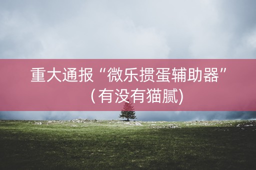 重大通报“微乐掼蛋辅助器”（有没有猫腻)