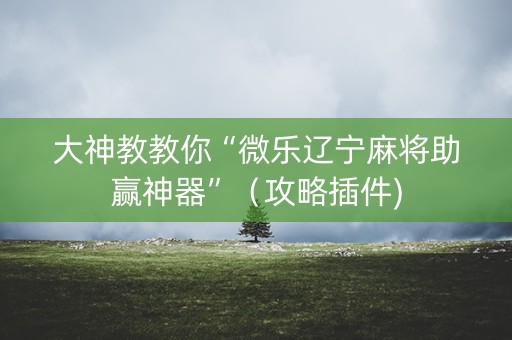 大神教教你“微乐辽宁麻将助赢神器”（攻略插件)
