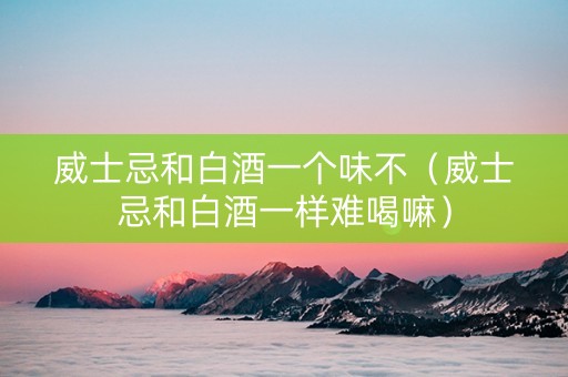威士忌和白酒一个味不（威士忌和白酒一样难喝嘛）