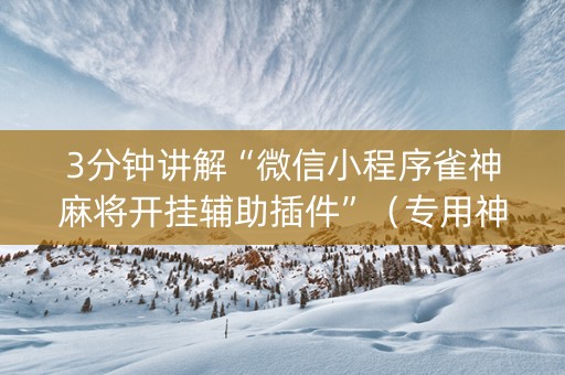 3分钟讲解“微信小程序雀神麻将开挂辅助插件”（专用神器下载)