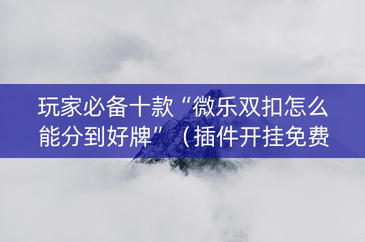 玩家必备十款“微乐双扣怎么能分到好牌”（插件开挂免费AI)