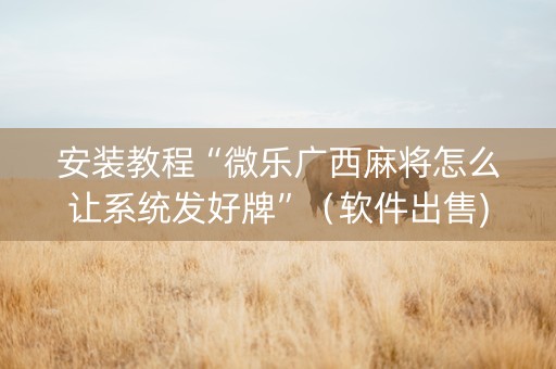 安装教程“微乐广西麻将怎么让系统发好牌”（软件出售)