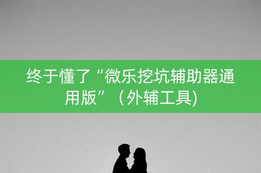 终于懂了“微乐挖坑辅助器通用版”（外辅工具)