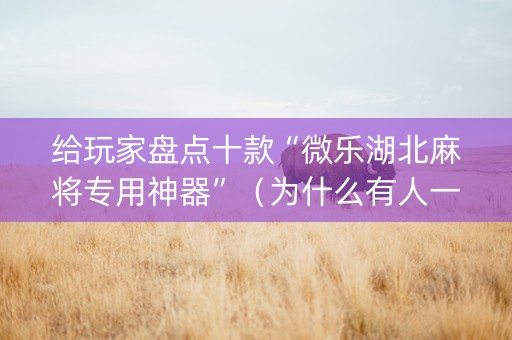 给玩家盘点十款“微乐湖北麻将专用神器”（为什么有人一直赢)