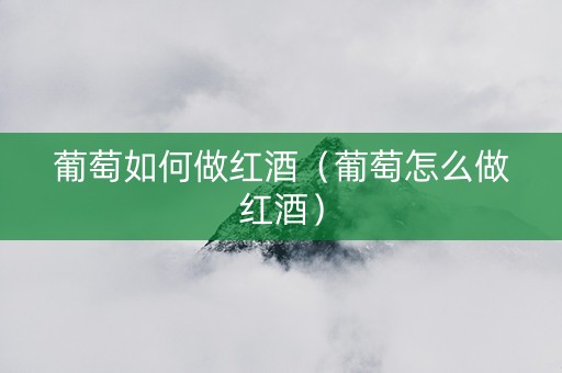 葡萄如何做红酒（葡萄怎么做红酒）