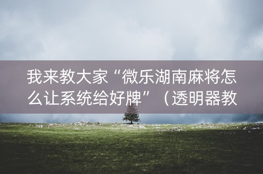 我来教大家“微乐湖南麻将怎么让系统给好牌”（透明器教程)