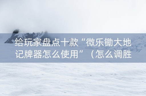 给玩家盘点十款“微乐锄大地记牌器怎么使用”（怎么调胜率)