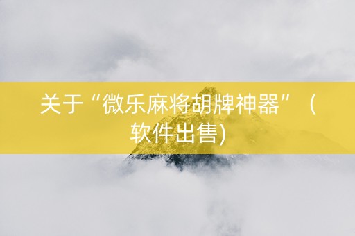关于“微乐麻将胡牌神器”（软件出售)