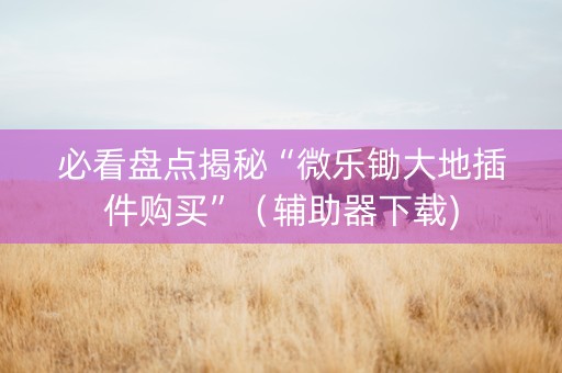 必看盘点揭秘“微乐锄大地插件购买”（辅助器下载)