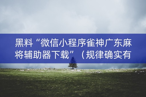 黑料“微信小程序雀神广东麻将辅助器下载”（规律确实有挂)