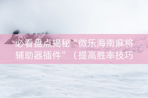 必看盘点揭秘“微乐海南麻将辅助器插件”（提高胜率技巧)