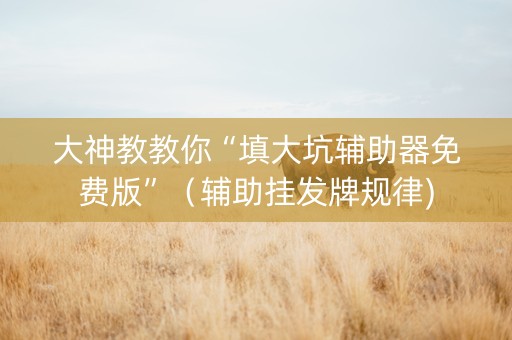 大神教教你“填大坑辅助器免费版”（辅助挂发牌规律)