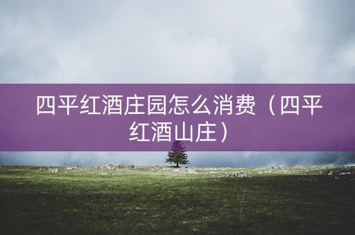 四平红酒庄园怎么消费（四平红酒山庄）