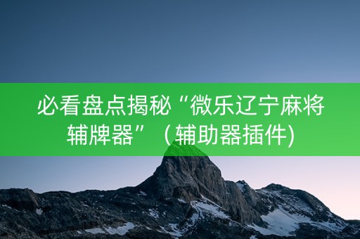 必看盘点揭秘“微乐辽宁麻将辅牌器”（辅助器插件)