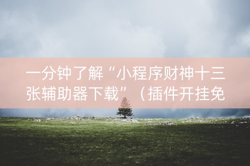 一分钟了解“小程序财神十三张辅助器下载”（插件开挂免费AI)