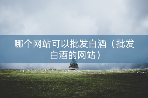 哪个网站可以批发白酒（批发白酒的网站）