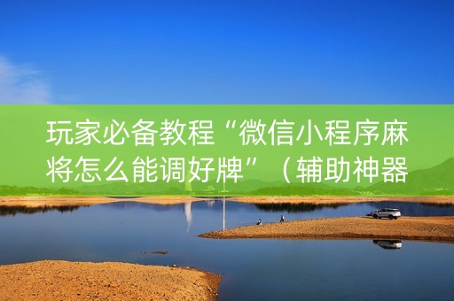 玩家必备教程“微信小程序麻将怎么能调好牌”（辅助神器免费)