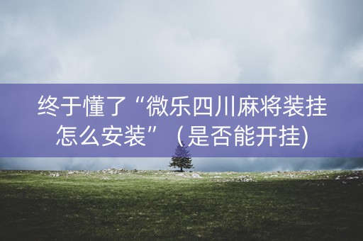终于懂了“微乐四川麻将装挂怎么安装”（是否能开挂)