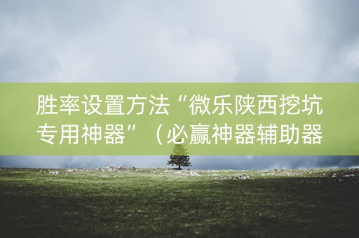 胜率设置方法“微乐陕西挖坑专用神器”（必赢神器辅助器)