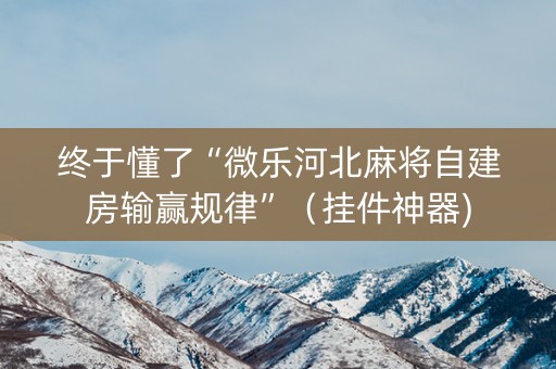 终于懂了“微乐河北麻将自建房输赢规律”（挂件神器)