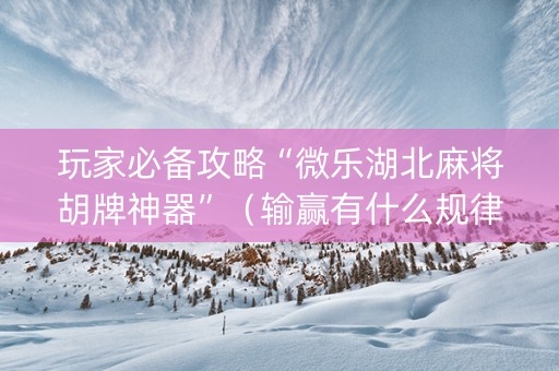 玩家必备攻略“微乐湖北麻将胡牌神器”（输赢有什么规律)
