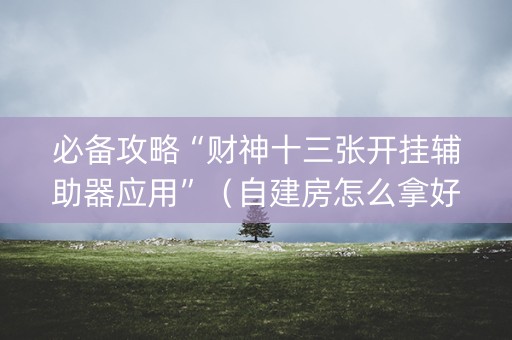 必备攻略“财神十三张开挂辅助器应用”（自建房怎么拿好牌)