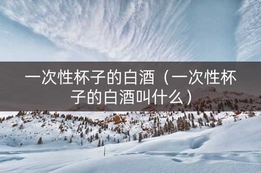 一次性杯子的白酒（一次性杯子的白酒叫什么）