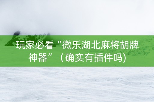 玩家必看“微乐湖北麻将胡牌神器”（确实有插件吗)