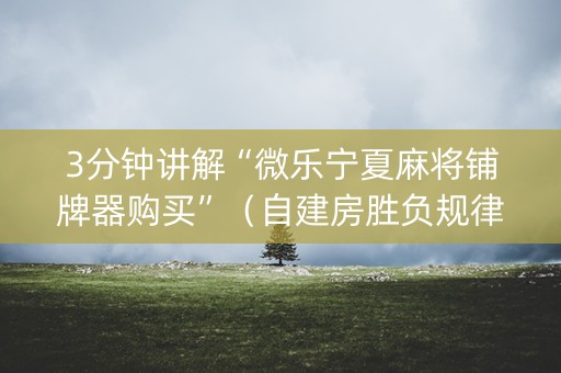 3分钟讲解“微乐宁夏麻将铺牌器购买”（自建房胜负规律)